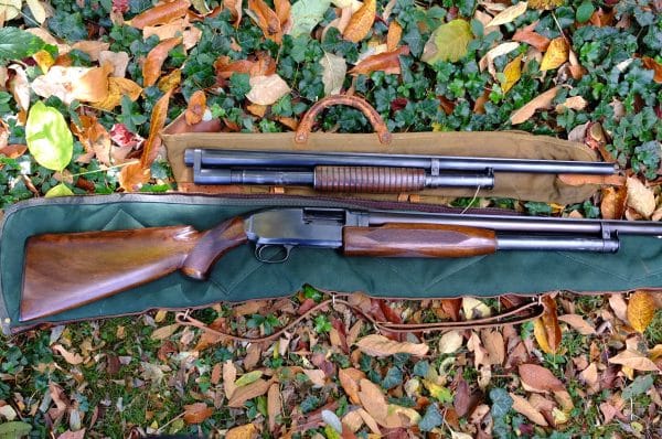 Buy Winchester Model12 shotgun online